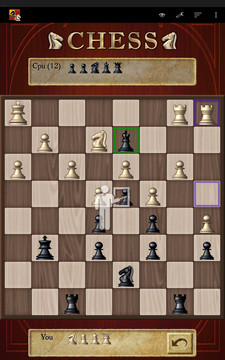 国际象棋图片14