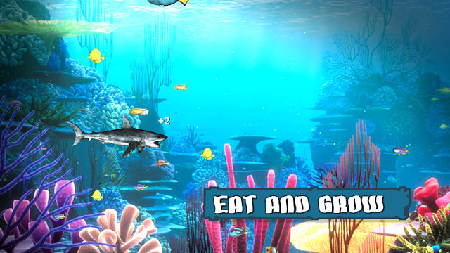 King of the Fish Tank: It's a fish eat fish world图片6