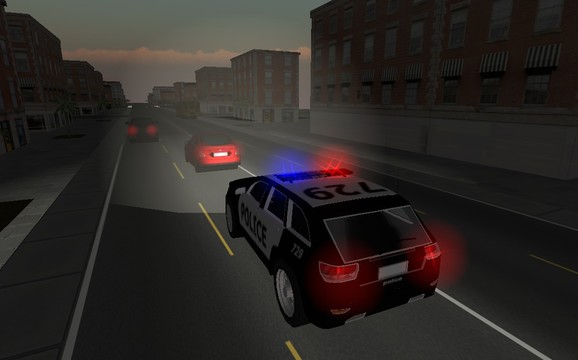 Police Car Driver 3D图片2