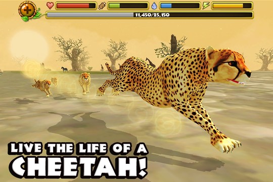猎豹模拟图片10