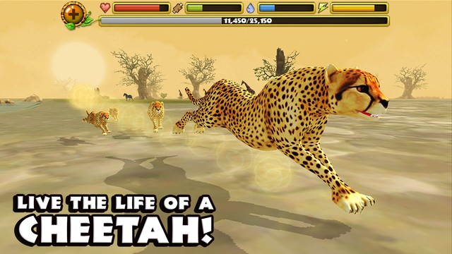 猎豹模拟图片7