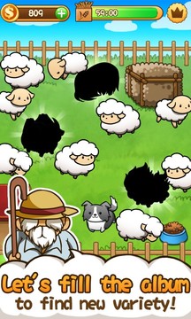 Baw Wow sheep collection图片1