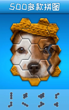 Hexa Jigsaw Puzzle™图片2