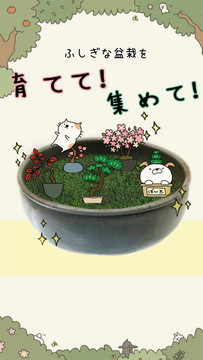 猫咪盆栽图片3