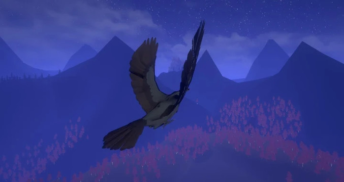 Raven's Night图片1