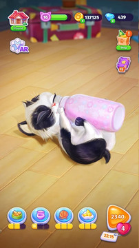 Catapolis- 猫咪游戏 ⋆ 电子宠物 | 我的虚拟宠物 - 喵咪图片2