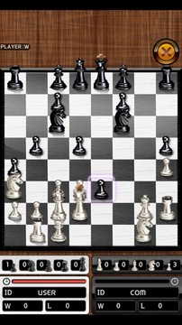 国际象棋的国王图片2