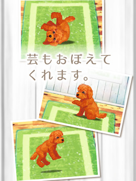 癒しの子犬育成ゲーム〜トイプードル編〜图片5