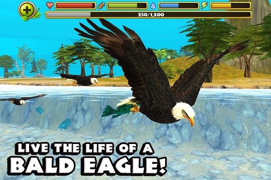 Eagle Simulator™图片2