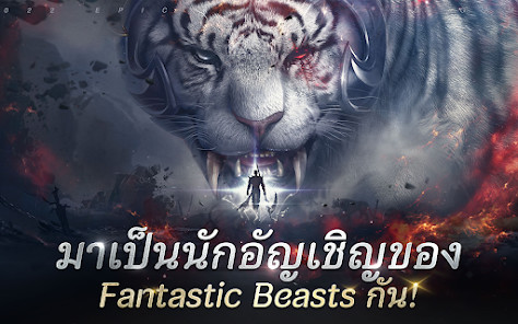 Fantastic Beasts图片6