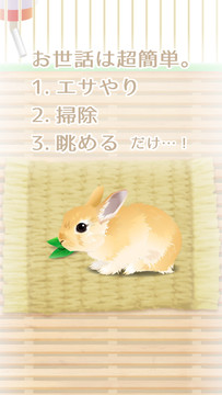 癒しのウサギ育成ゲーム图片3