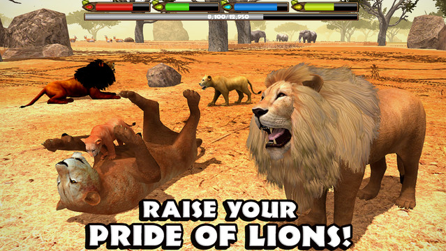 Ultimate Lion Simulator图片2