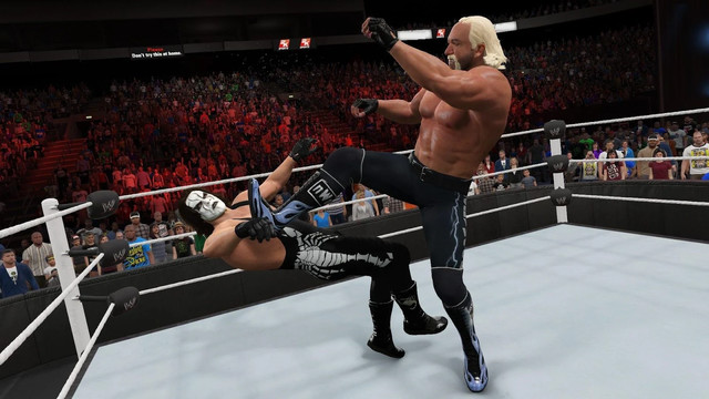 Top WWE Fight with Tricks图片3
