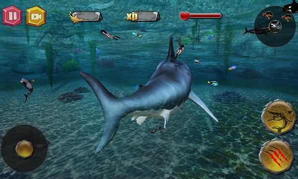 深海狂鲨图片14