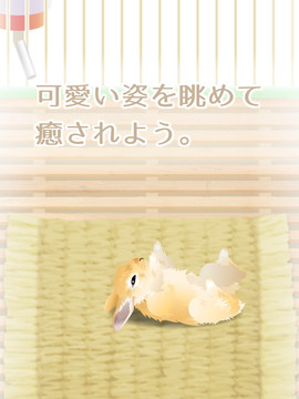 癒しのウサギ育成ゲーム图片2