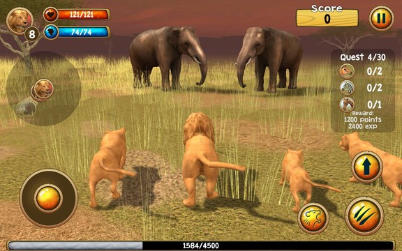 Wild Lion Simulator 3D图片4