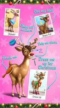 Christmas Animal Hair Salon 2图片1