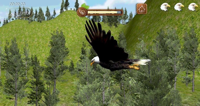 Eagle Play图片3