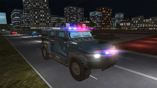 真正的警车驾驶：离线游戏图片2