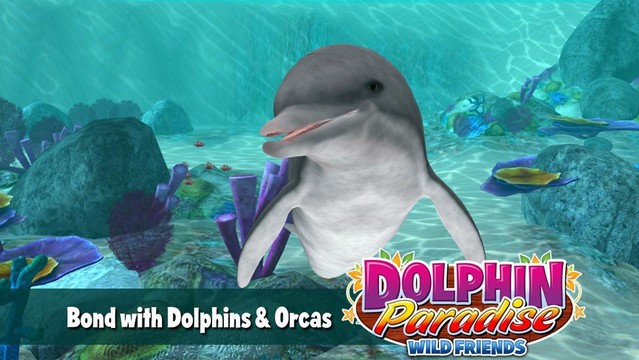Dolphin Paradise: Wild Friends图片3