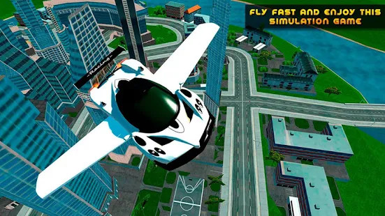Flying Car Real Driving图片6