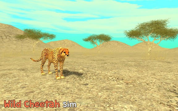 野生猎豹模拟图片6
