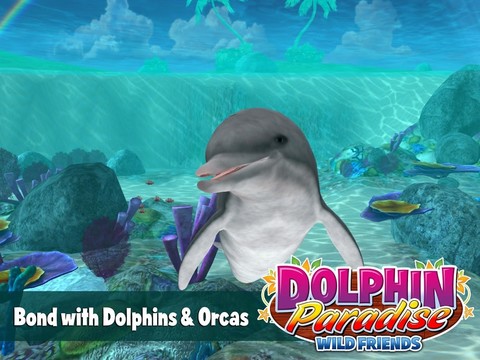 Dolphin Paradise: Wild Friends图片5