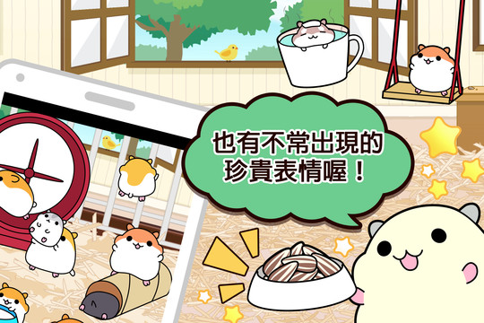 仓鼠系列◆免费放置型宠物饲养游戏图片4