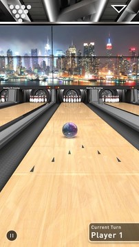 3D Bowling Champion图片2