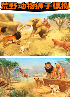 荒野动物狮子模拟图片5