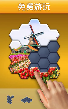 Hexa Jigsaw Puzzle™图片1