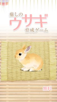 癒しのウサギ育成ゲーム图片6