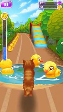 Pet Run - Puppy Dog Game图片4