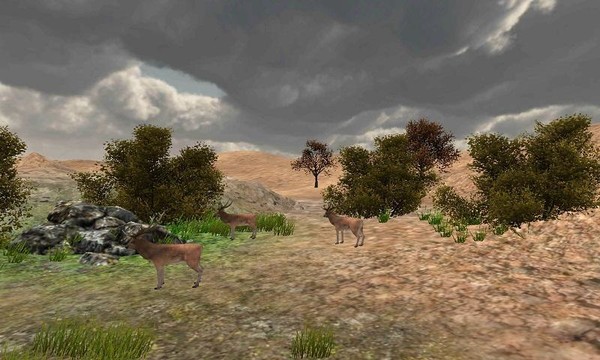 Safari浏览器 鹿 狩 非洲图片3