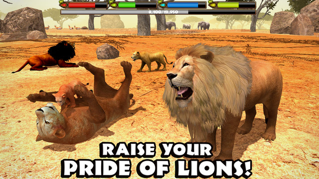 Ultimate Lion Simulator图片10