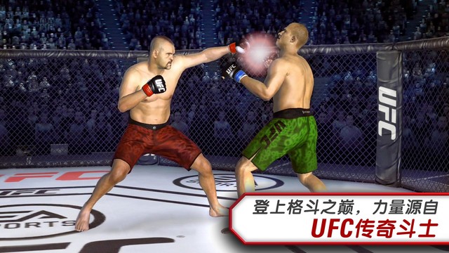 UFC斗士图片10