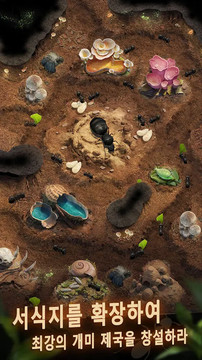 蚂蚁：地下王国图片2