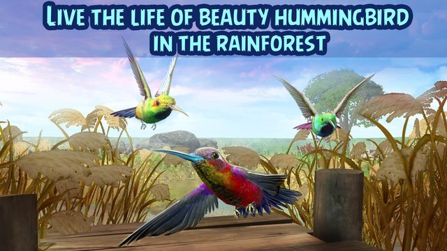 Hummingbird Simulator 3D图片2