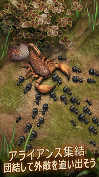 蚂蚁：地下王国图片3