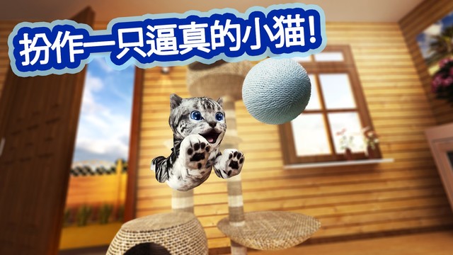 模拟猫咪 Cat Simulator图片3
