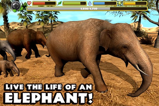大象模拟图片12