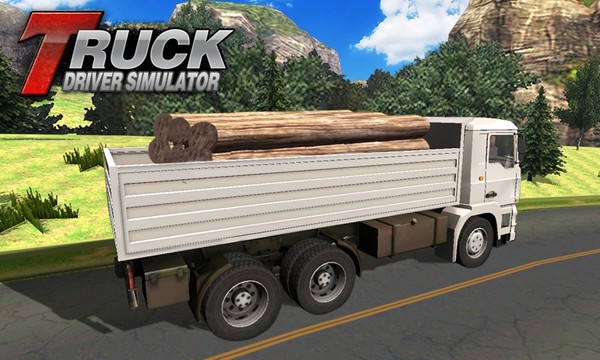 Truck Driver Simulator图片3