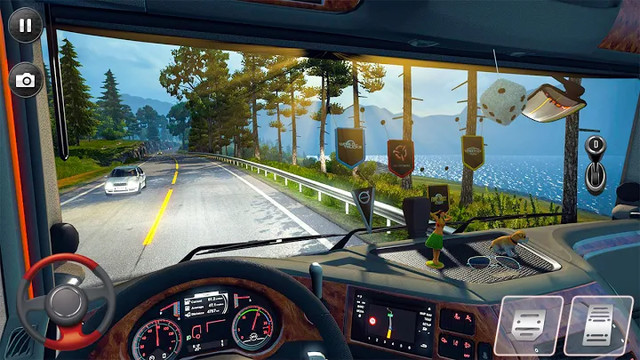 欧洲卡车停车模拟器2021年：3d停车游戏图片3