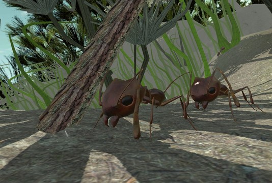 蚂蚁模拟3D图片3