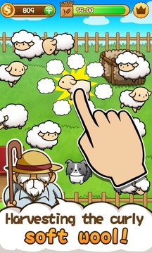 Baw Wow sheep collection图片5