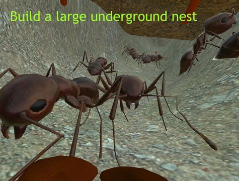 蚂蚁模拟3D图片5