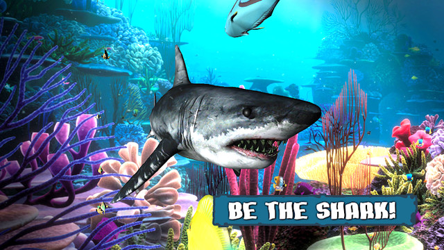 King of the Fish Tank: It's a fish eat fish world图片3