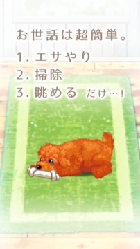 癒しの子犬育成ゲーム〜トイプードル編〜图片2