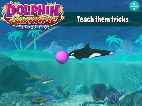 Dolphin Paradise: Wild Friends图片4