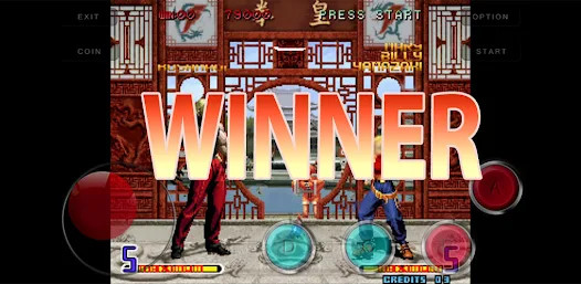 2002 arcade king图片2